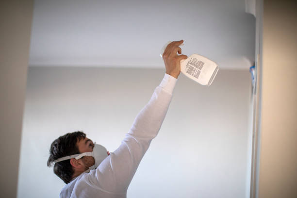 Home Mold Removal in Waikoloa Village, HI