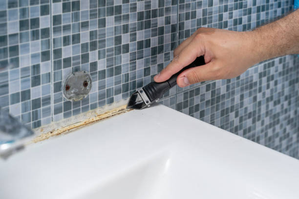 Best Black Mold Removal  in Waikoloa Village, HI