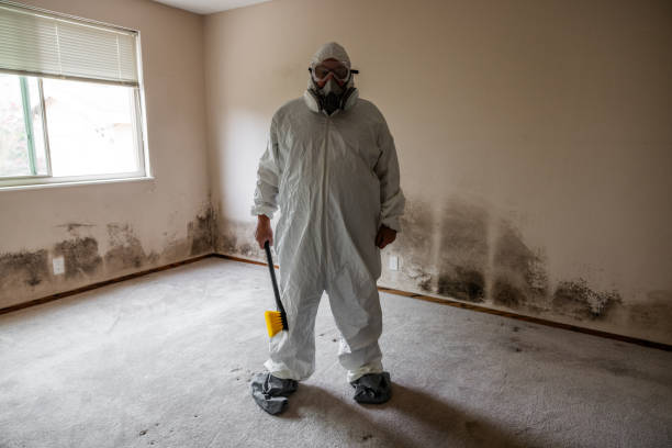 Mold Removal and Inspection in Waikoloa Village, HI